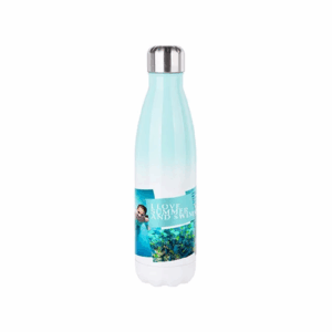 Termobotella 20oz dregradé